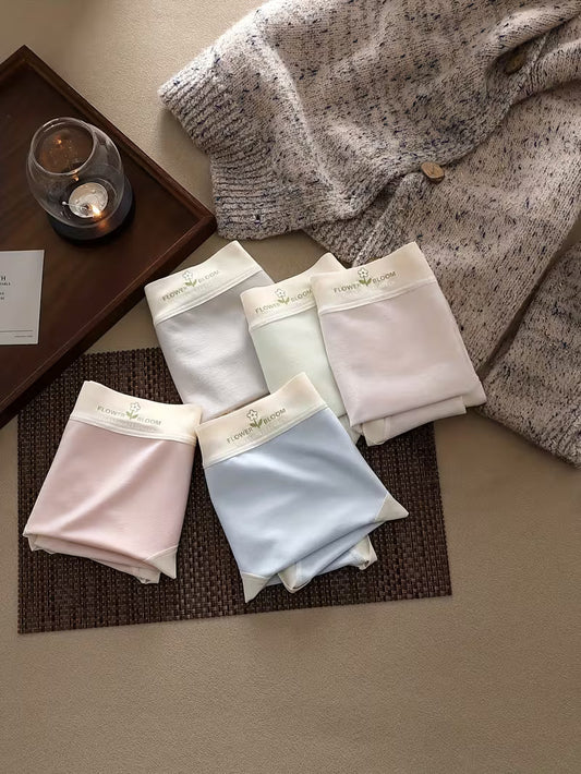 Women’s Soft Stretch Mid-Waist Panties – Pack of 5 | Pastel Comfort Briefs | Smooth Waistband Everyday Underwear