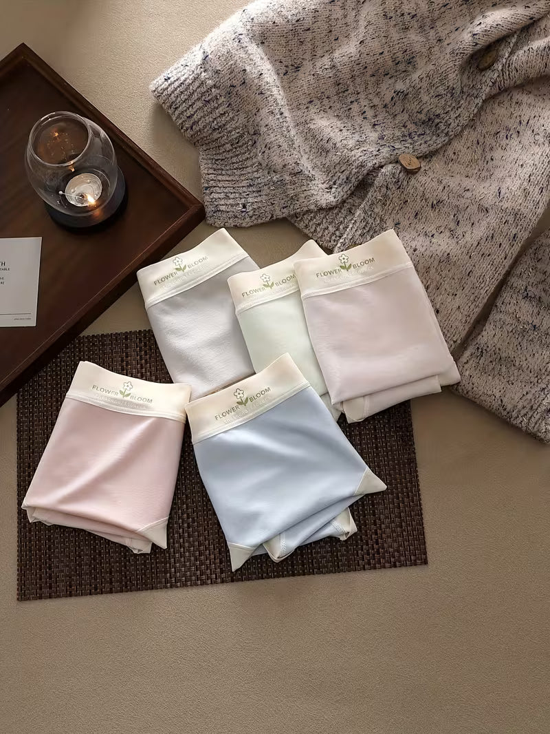 Women’s Soft Stretch Mid-Waist Panties – Pack of 5 | Pastel Comfort Briefs | Smooth Waistband Everyday Underwear